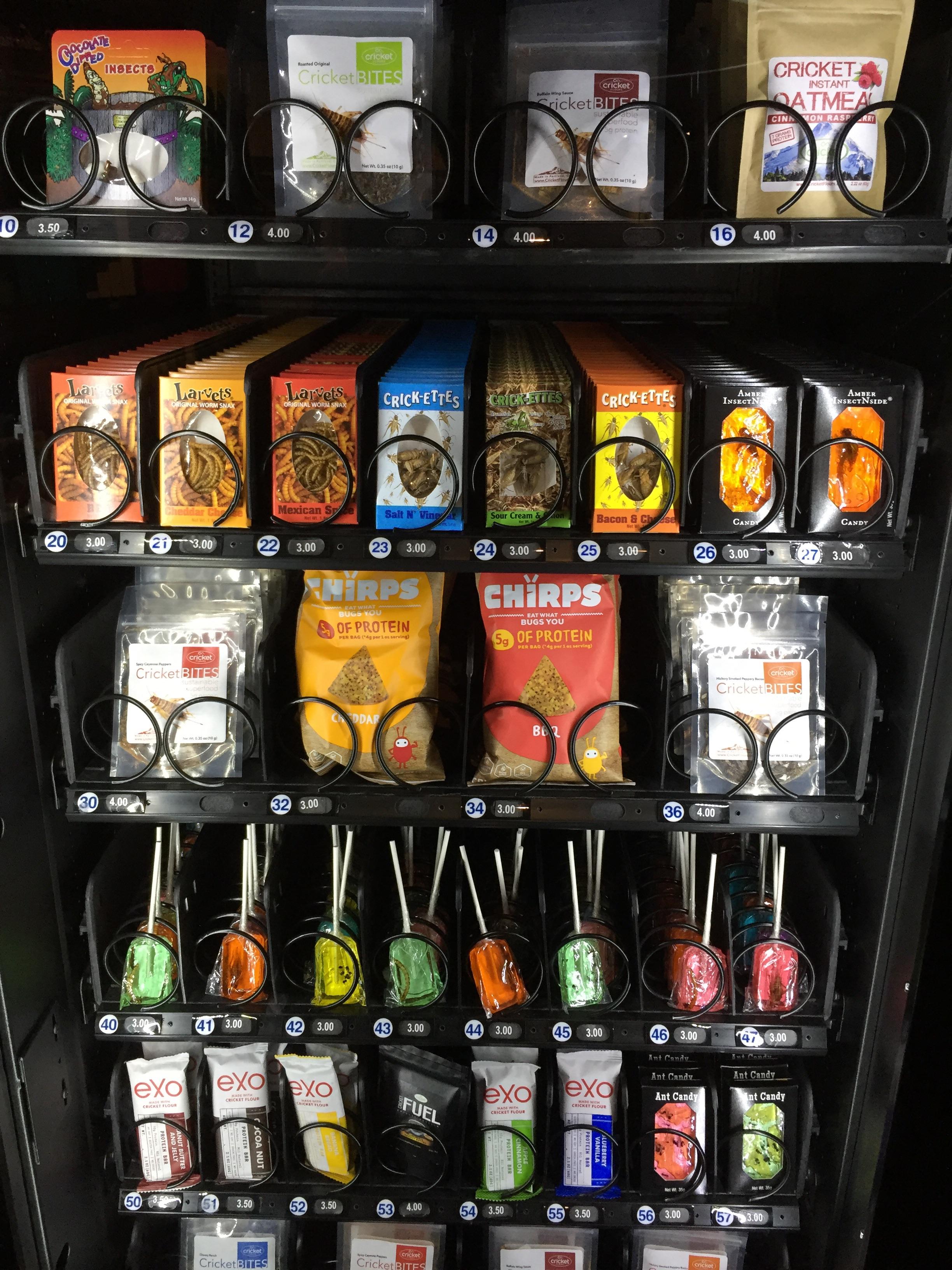 Picture of Insect Vending Machine